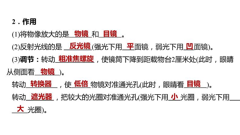 备战2022 中考生物 一轮复习 第二讲 细胞是生命活动的基本单位 课件第4页