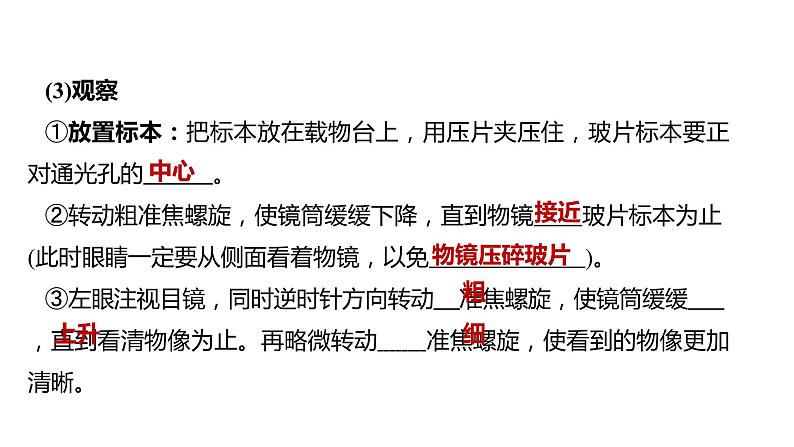 备战2022 中考生物 一轮复习 第二讲 细胞是生命活动的基本单位 课件第7页