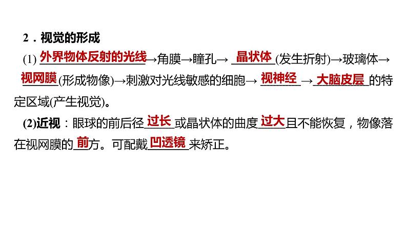 备战2022 中考生物 一轮复习 第十四讲 人体生命活动的调节 课件第5页