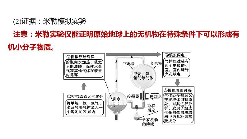 备战2022 中考生物 一轮复习 第二十一讲 生命起源和生物进化 课件第6页