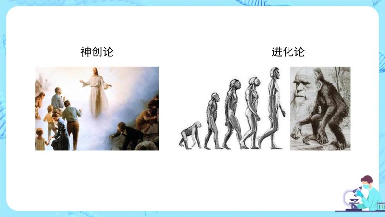 人教版（新课标）生物七下：1.1《人的起源和发展》（课件+教案+练习）03