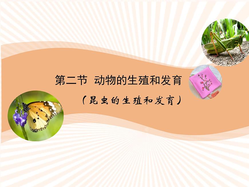《動物的生殖和發(fā)育》第一課時(shí)課件第1頁