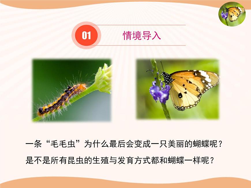 《動物的生殖和發(fā)育》第一課時(shí)課件第2頁