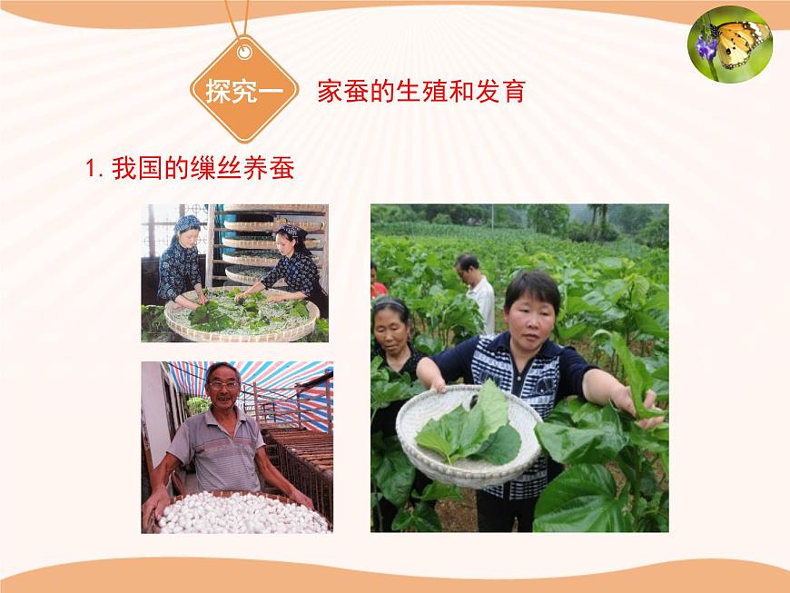 《動物的生殖和發(fā)育》第一課時(shí)課件第4頁