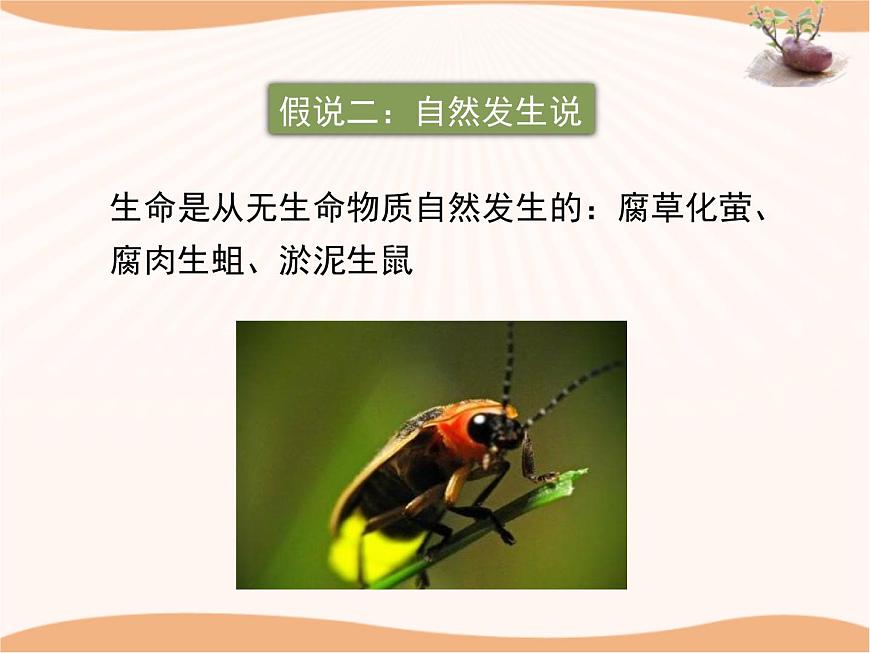 《生命的起源》課件第6頁