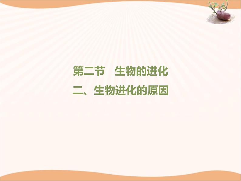 《生物的进化》第二课时 课件01