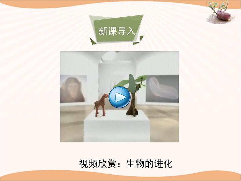 《生物的进化》第二课时 课件03