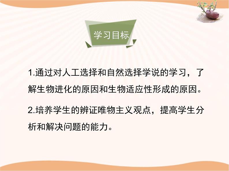 《生物的进化》第二课时 课件04