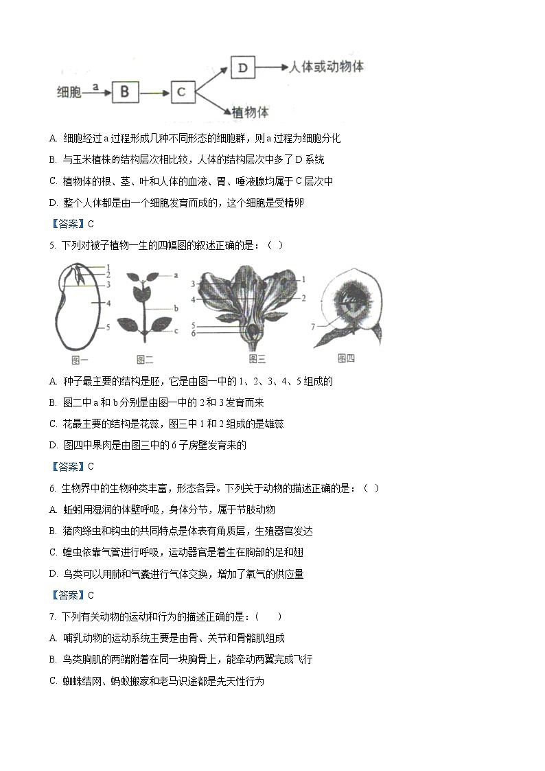 2021年山东省泰安新泰市中考一模考试生物试题及答案第2页