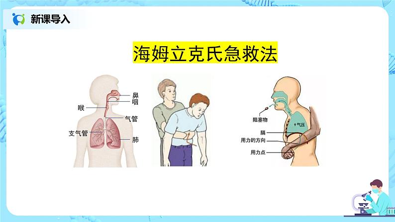 人教版(新课标)生物七下:3.2《发生在肺内的气体交换》(第一课时)(课件+教案+练习)02