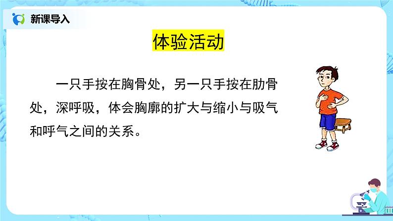 人教版(新课标)生物七下:3.2《发生在肺内的气体交换》(第一课时)(课件+教案+练习)05