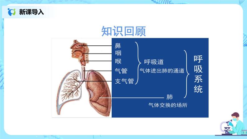 人教版（新课标）生物七下：第三章《人体的呼吸》章节综合与测试（第二课时）（课件+教案+练习）03