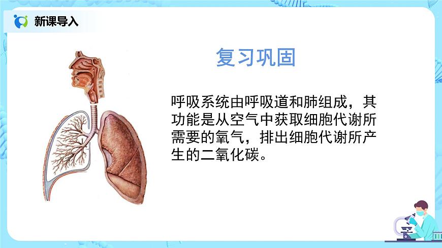 第三章《人體的呼吸》章節(jié)綜合與測試（第一課時）課件第3頁