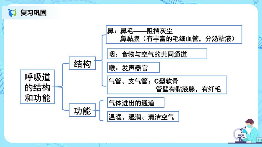 第三章《人體的呼吸》章節(jié)綜合與測試（第一課時）課件第4頁