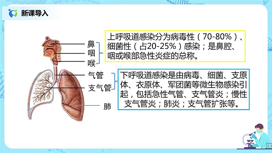 第三章《人體的呼吸》章節(jié)綜合與測試（第一課時）課件第7頁