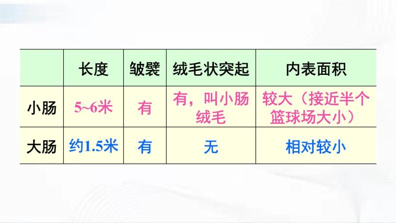 人教版生物七年级下册 4.2.2 营养物质的吸收 课件+视频素材05