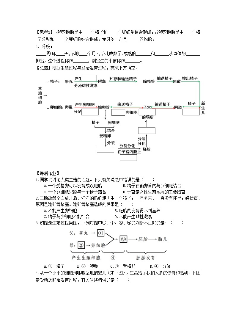 人教版（新课标）生物七下：1.2《人的生殖》（第二课时）（课件+教案+练习）02