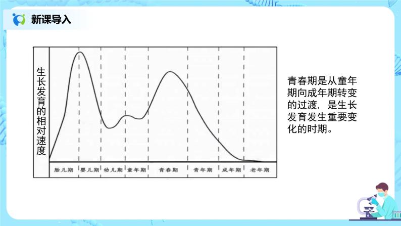 人教版（新课标）生物七下：1.3《青春期》（课件+教案+练习）04