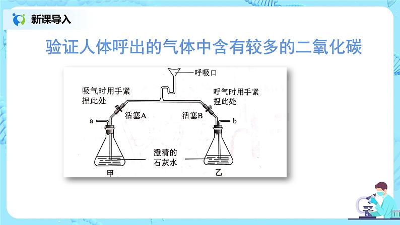 人教版(新课标)生物七下:3.2《发生在肺内的气体交换》(第二课时)(课件+教案+练习)06