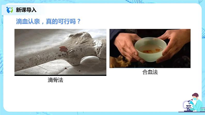 人教版(新课标)生物七下:4.4《输血与血型》(课件+教案+练习)02