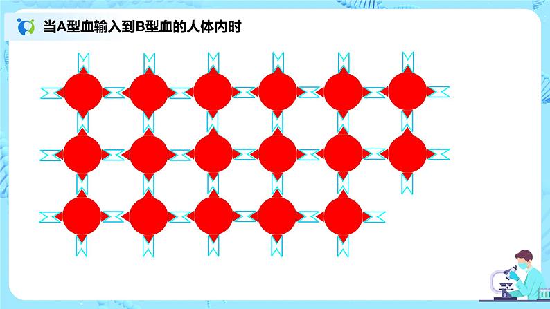 人教版(新课标)生物七下:4.4《输血与血型》(课件+教案+练习)08