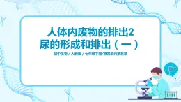 人教版（新课标）生物七下：第五章《人体内废物的排出》（第二课时）--尿的形成和排出（课件+教案+练习）