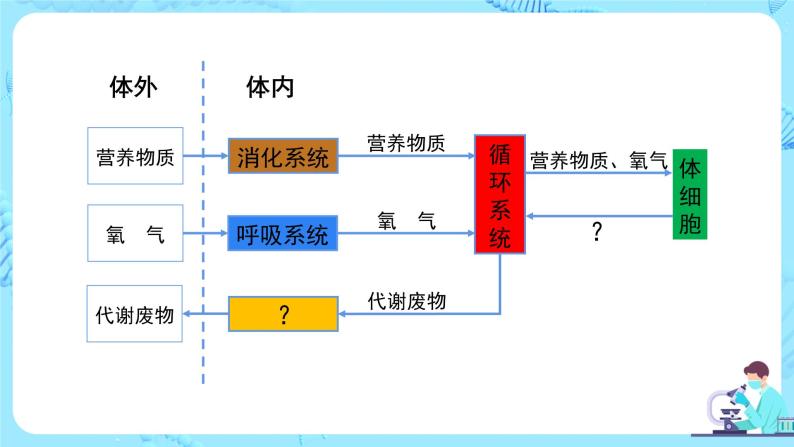 人教版（新课标）生物七下：第五章《人体内废物的排出》（第一课时）--人体内废物排出的途径（课件+教案+练习）02