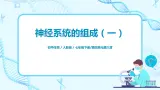 人教版（新课标）生物七下：6.2《神经系统的组成》（第一课时）（课件+教案+练习）