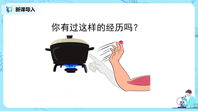 人教版(新课标)生物七下:6.2《神经系统的组成》(第一课时)(课件+教案+练习)02