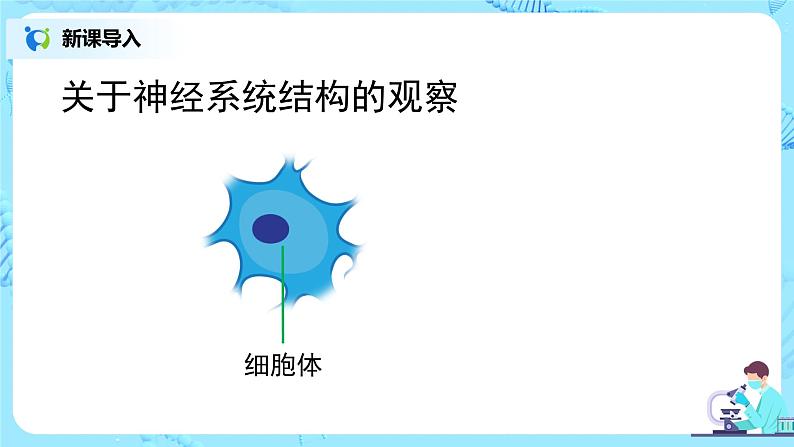 人教版(新课标)生物七下:6.2《神经系统的组成》(第一课时)(课件+教案+练习)06