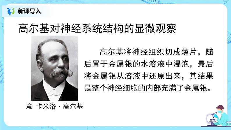 人教版(新课标)生物七下:6.2《神经系统的组成》(第一课时)(课件+教案+练习)07