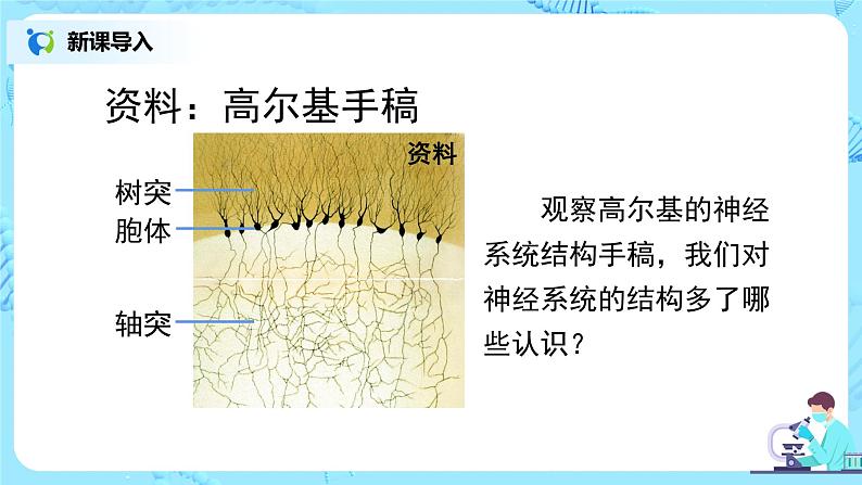 人教版(新课标)生物七下:6.2《神经系统的组成》(第一课时)(课件+教案+练习)08