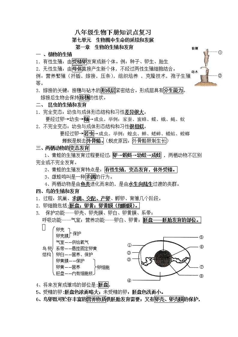 最新人教版八年级下册期末生物复习资料(提纲)第1页