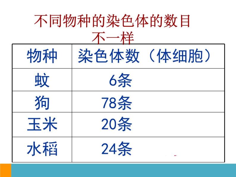 上海版八年级上册生物  2.3.2 染色体与人体性别决定 课件   (共18张PPT)08