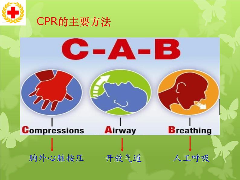 上海版八年级上册生物 3.3.5 模拟心肺复苏 课件 (共24张PPT)第6页