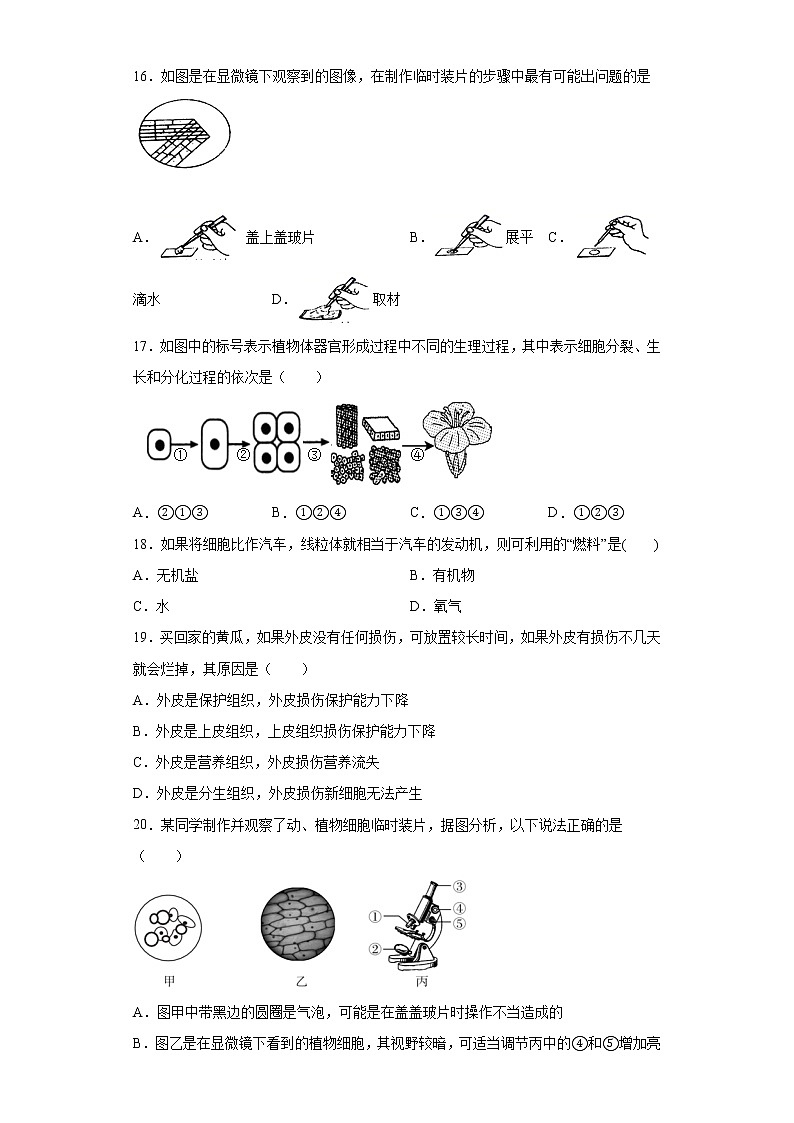 河北省承德市第七中学2021-2022学年七年级上学期期中生物试题(word版 含答案)第3页