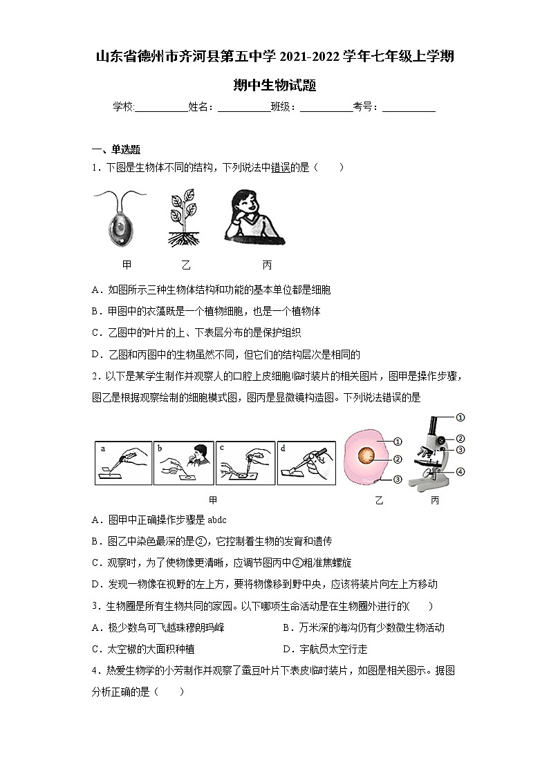 山东省德州市齐河县第五中学2021-2022学年七年级上学期期中生物试题(word版 含答案)第1页