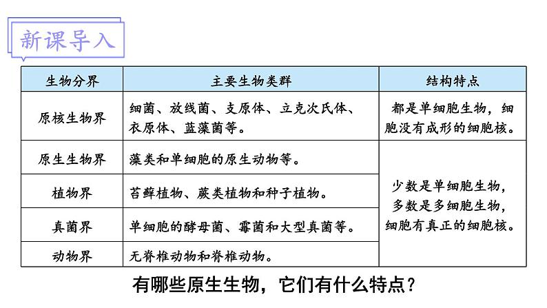 北师大版八年级生物下册 第22章 第2节 原生生物的主要类群 课件01