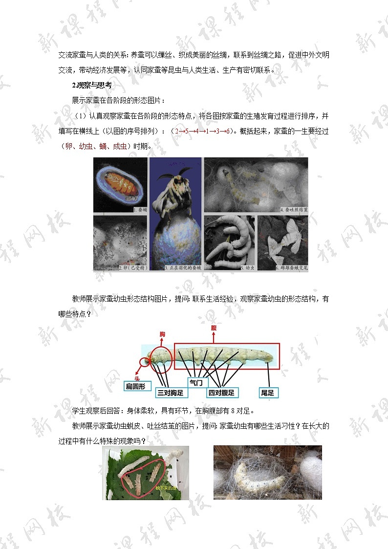 八年级生物下册(人教版)7.1.2 昆虫的生殖和发育教案02