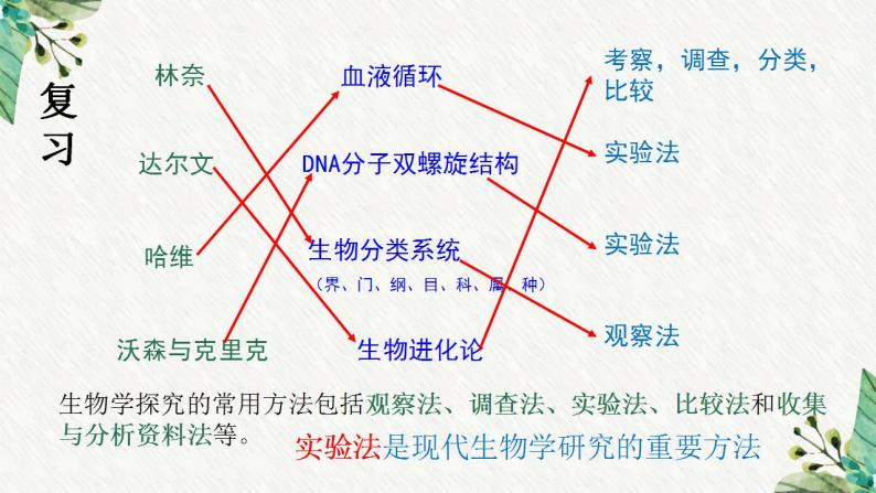 1.2.2生物学研究的基本方法课件PPT02