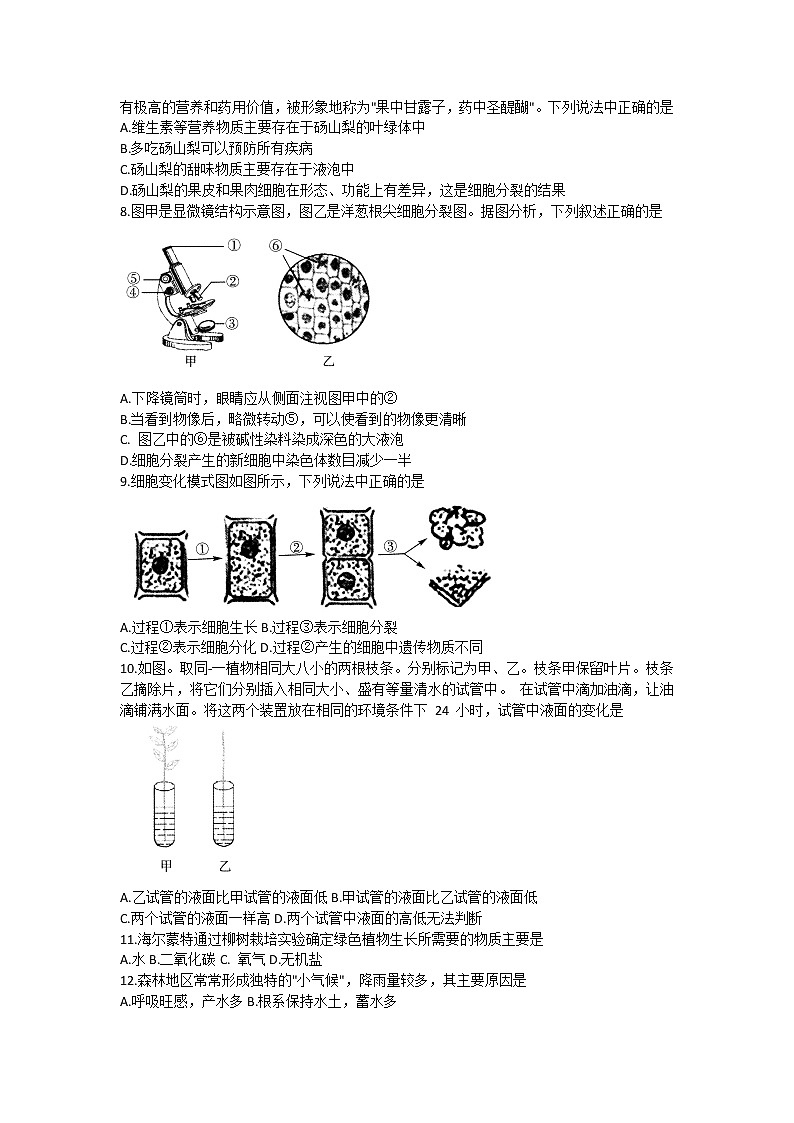 安徽省淮北市五校联考2021-2022学年七年级上学期第三次月考生物试题(Word版含答案)第2页