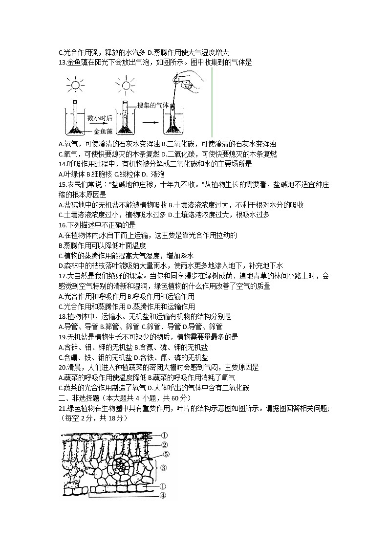 安徽省淮北市五校联考2021-2022学年七年级上学期第三次月考生物试题(Word版含答案)第3页