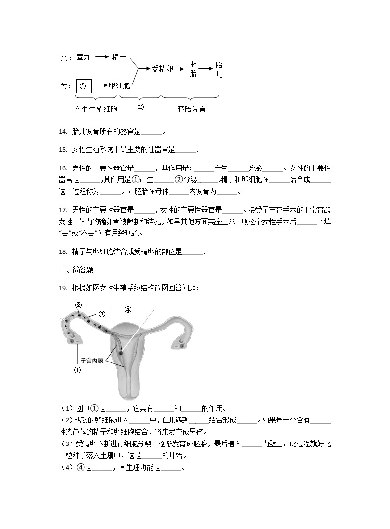 4.1.2 人的生殖 课件+教案+练习  人教版七年级生物下册03