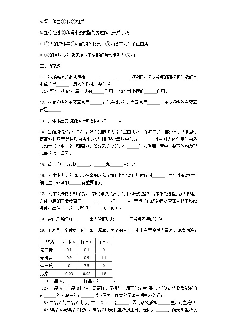 4.5人体内废物的排出 课件+教案+练习  人教版七年级生物下册03