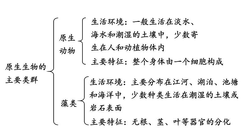 北师大版八年级生物下册 第22章 章末复习 课件03