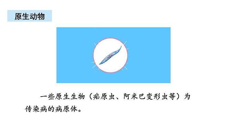 北师大版八年级生物下册 第22章 章末复习 课件05