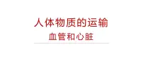 北师大版七年级下册第四单元 生物圈中的人第9章 人体内的物质运输第2节 血液循环优质课件ppt