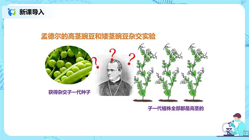 7.2.3《基因的顯性和隱性》課件第6頁(yè)