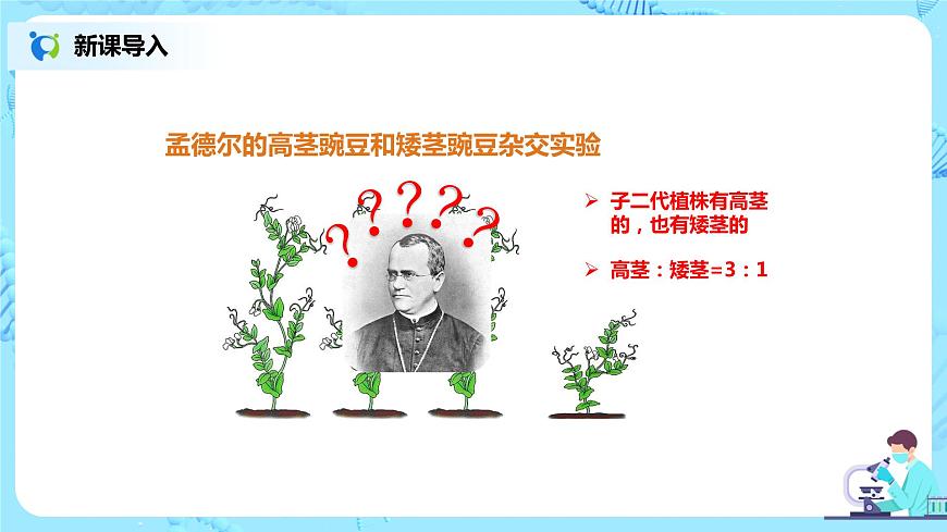 7.2.3《基因的顯性和隱性》課件第8頁(yè)