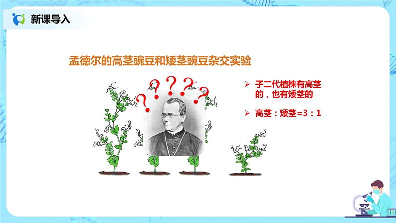 人教版(新课标)生物八下:7.2.3《基因的显性和隐性》课件(送教案+习题)08